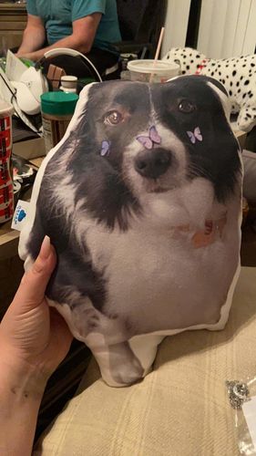 Customer photo review of Create A Custom Dog Pillow