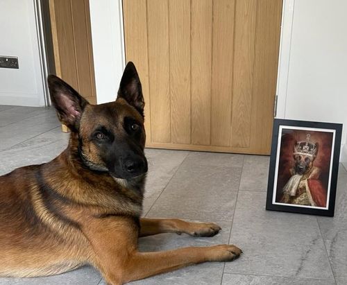 Customer photo review of The King - Custom Vintage Pet Portrait