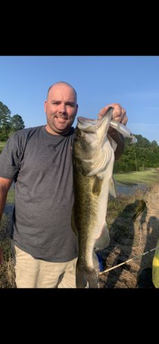 Customer photo review of Headbanger Spitfire 4.5"