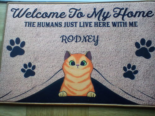 Customer photo review of Welcome To Our Home Custom Doormat