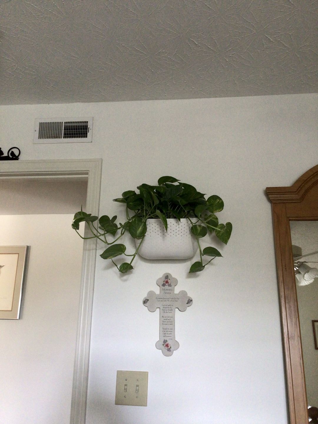 Customer photo review of Eco White Wall Planter