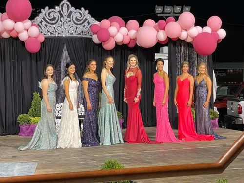 Customer photo review of It's a Girl Baby Shower Balloon Garland Kit