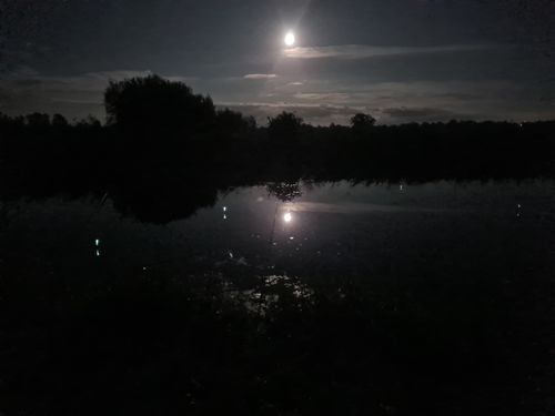 Customer photo review of 5g Smart Fishing Float