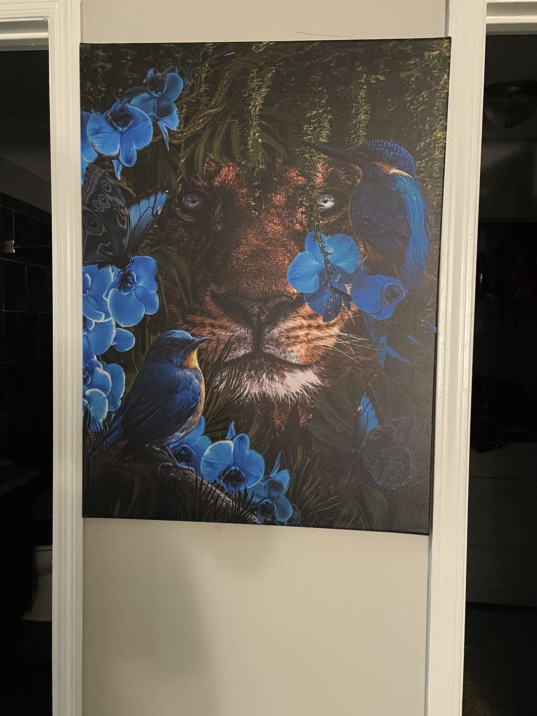 Customer photo review of Peekaboo Canvas Set