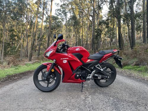 Customer photo review of STICKER SOCIALS BUBBLE