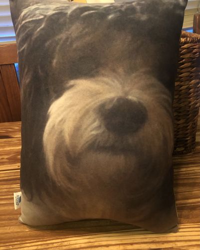 Customer photo review of Create A Custom Dog Pillow