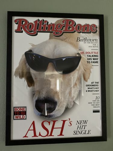 Customer photo review of Posing Pig Custom Print