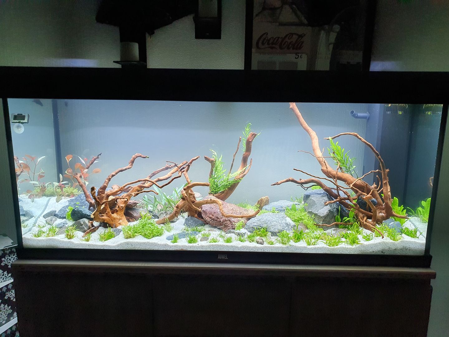 Customer photo review of Aquarium Rio 240 LED Noir Équipé JUWEL - 240L