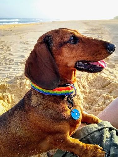 Customer photo review of OnGuard™