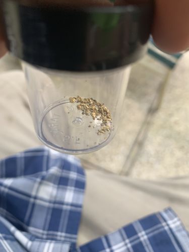 Customer photo review of 5 Lb. Rich Gold Paydirt Unsearched Concentrate BOGO