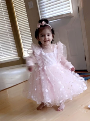 Customer photo review of Flower Girl Puffy Princess Cake Dress