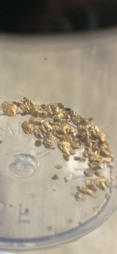 Customer photo review of *BOGO* Gold Diggers Delight '10 TROY OUNCE GOLD HUNT' - Gold Paydirt Panning Concentrates