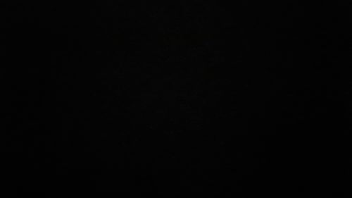 Customer photo review of ACTIVE (non-bandage)