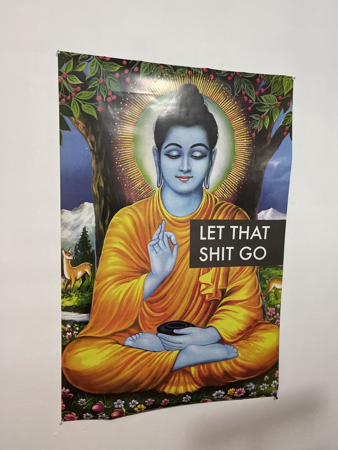 Customer photo review of Let That Shit Go Buddha Poster