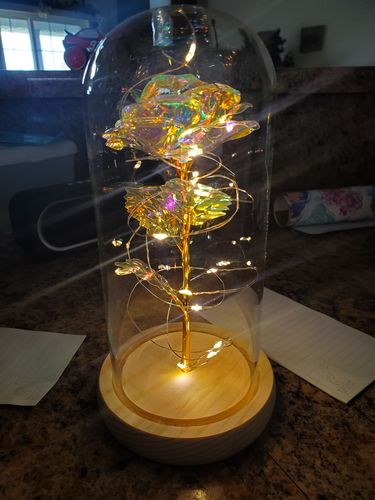 Customer photo review of Galaxy Rose