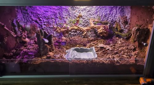 Customer photo review of 4'x2'x2' PVC Panel Reptile Enclosure by Zen Habitats