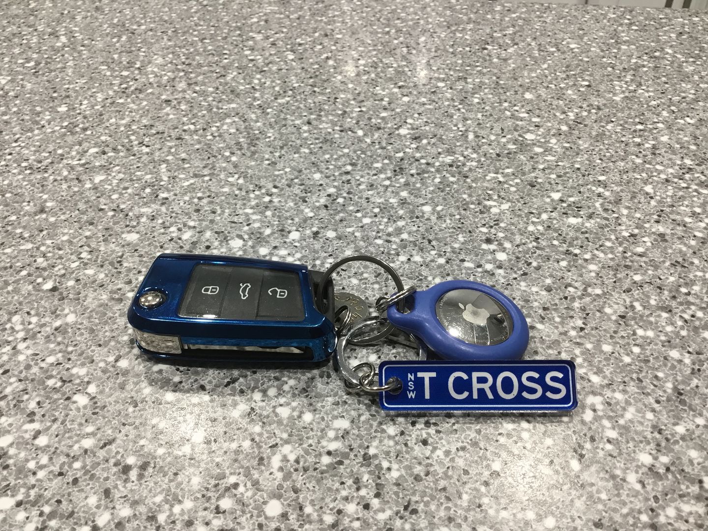 Customer photo review of NSW Colour Licence Plate Custom Keychain
