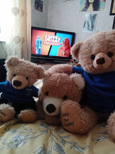 Customer photo review of Eddy The Teddy Bear