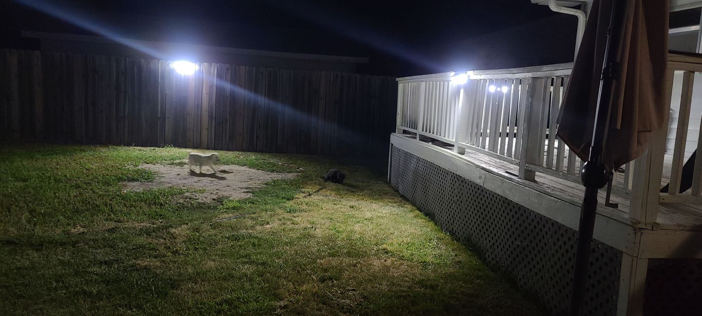 Customer photo review of 118 LED Solar Light 1000 Lumens