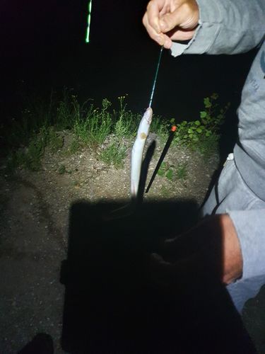 Customer photo review of USB Speed Charger inkl. 2x Akkus