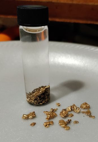 Customer photo review of Nugget Reserve 'MUSEUM SPECIMEN CHASE' - Gold Panning Paydirt Concentrate