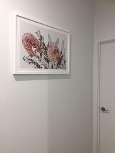 Customer photo review of Blushing Banksia | LS