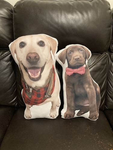 Customer photo review of Create A Custom Dog Pillow