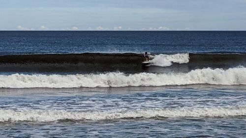 Customer photo review of Creative Army Jumbo Jet - SLX ( Less than 2 left )