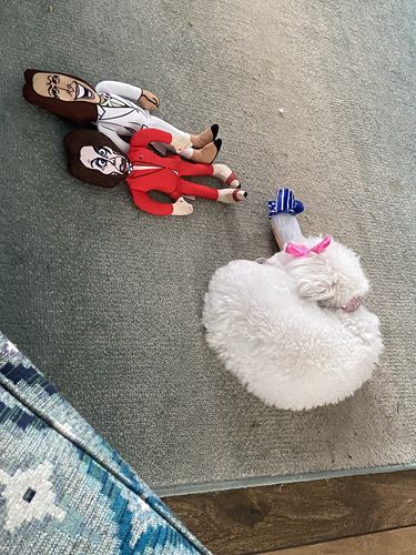 Customer photo review of Official Republican Dogs Starter Pack Includes Joe Biden Kamala Harris & Nancy Pelosi Chew Toys