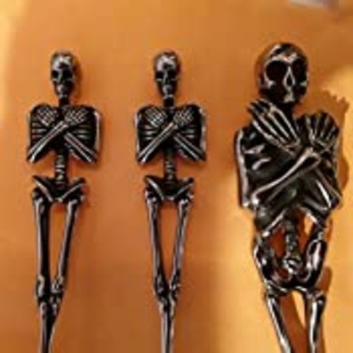 Customer photo review of Stainless Steel Skeleton Flatware
