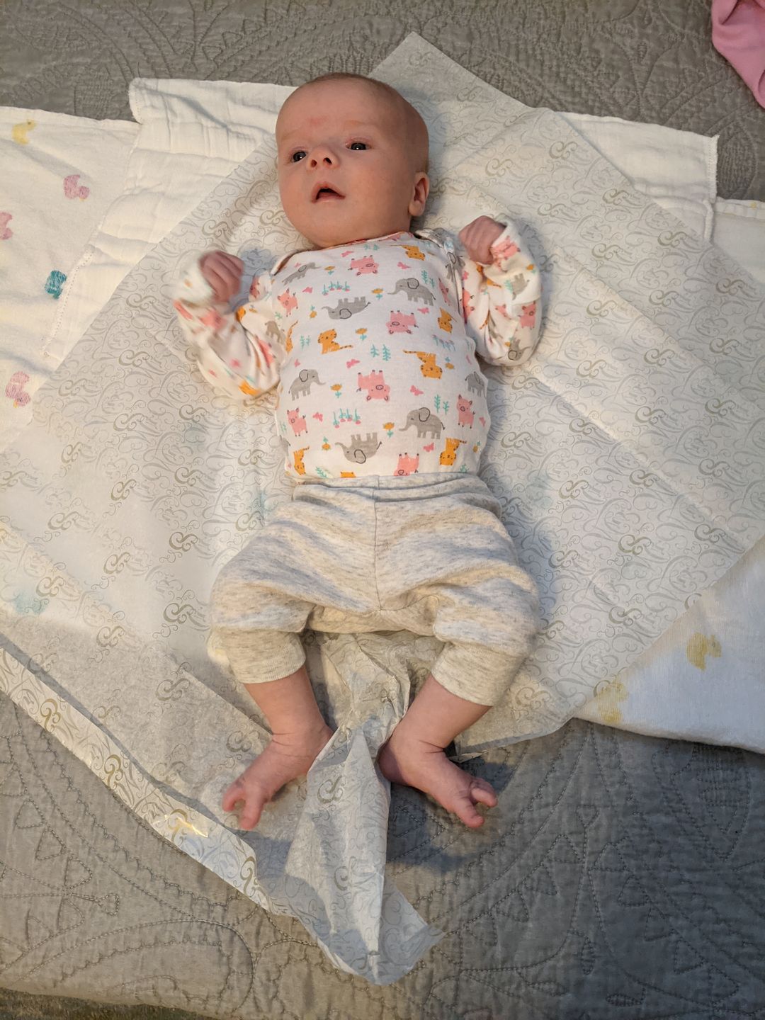 Customer photo review of Curious Baby™ Activity Cards