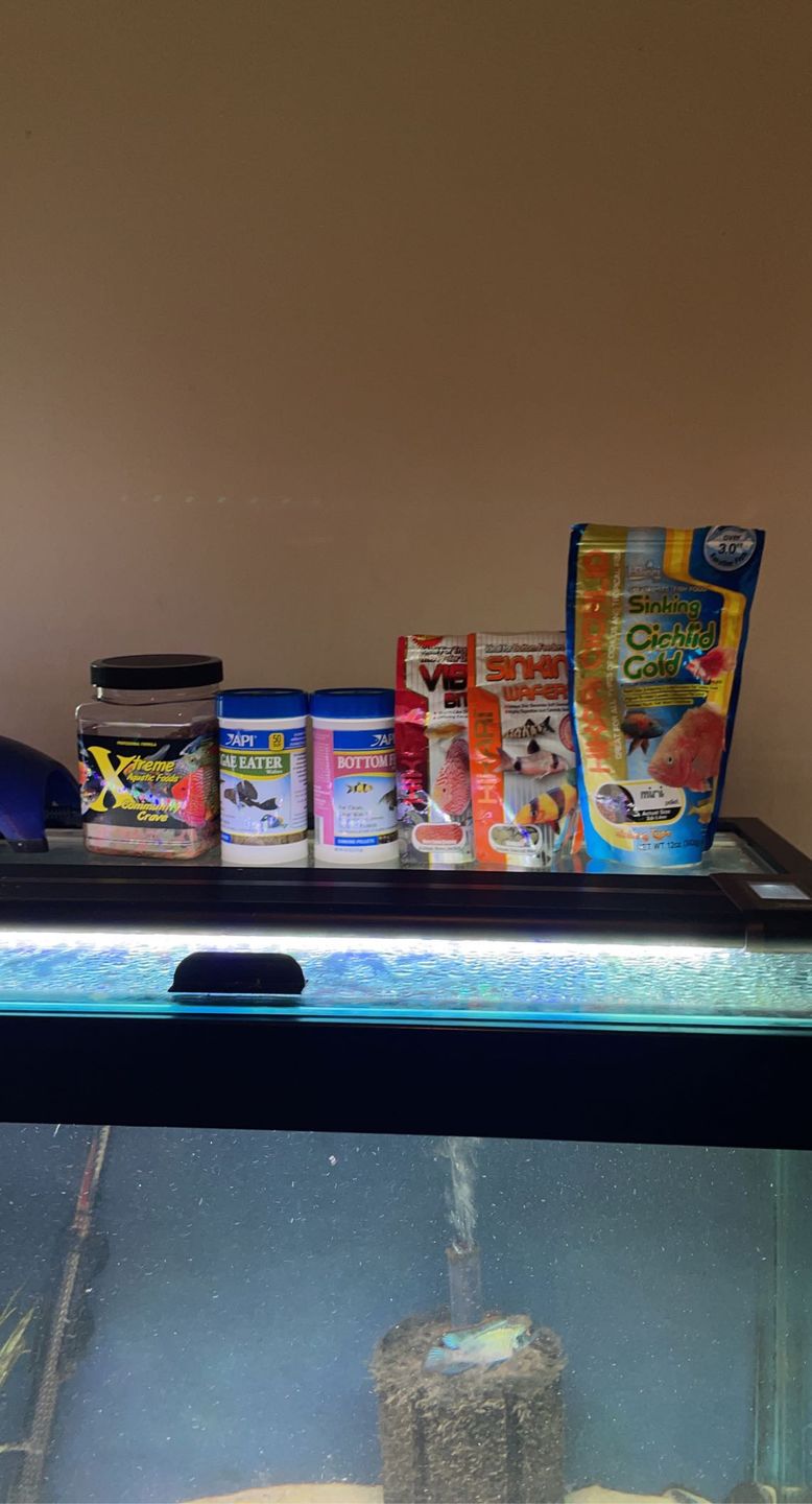 Customer photo review of Xtreme Community Crave Flakes. Krill/Spirulina