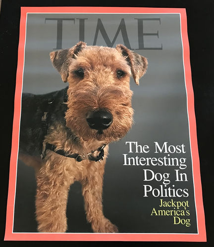 Customer photo review of Posing Pig Custom Print