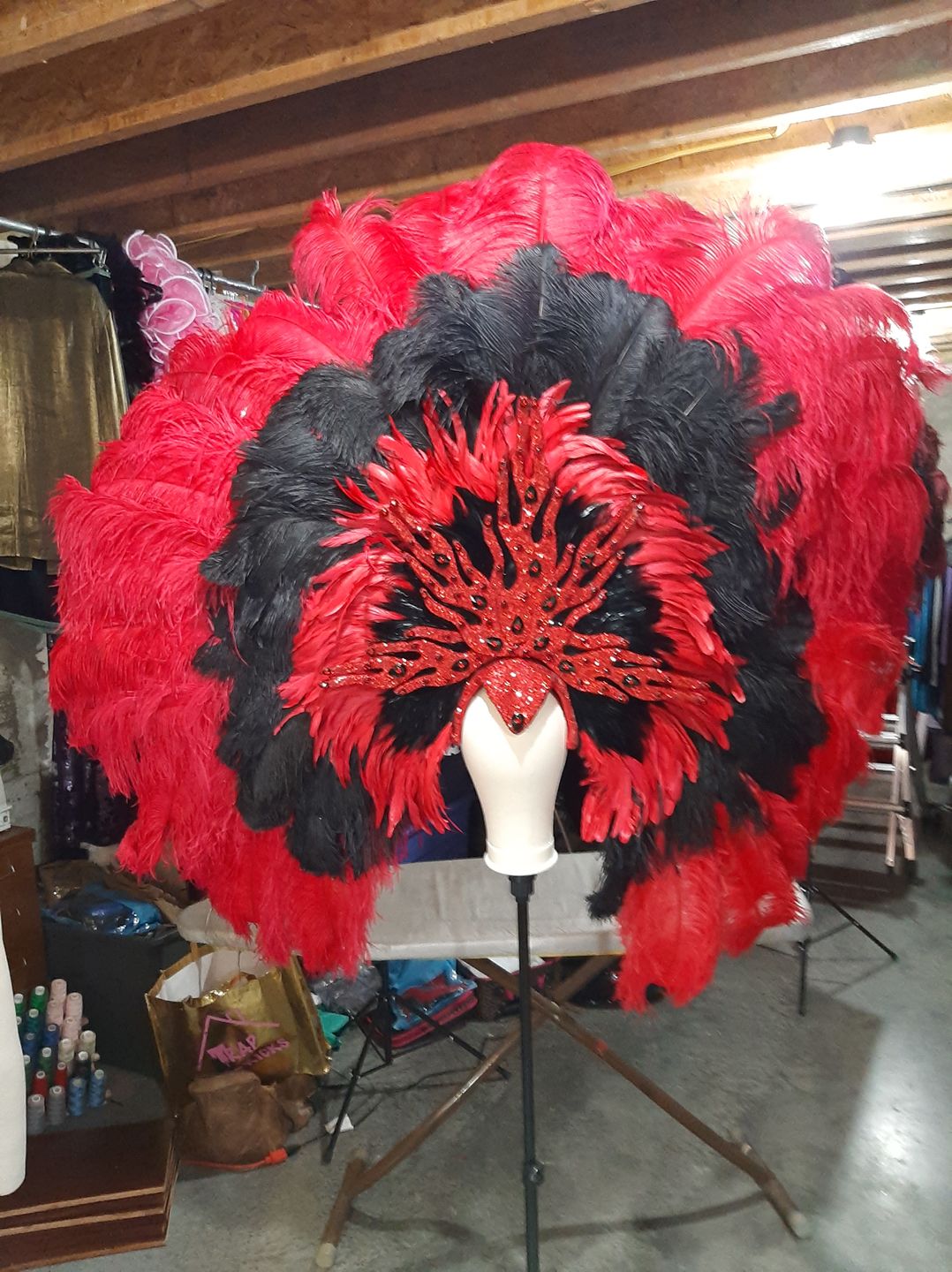 Customer photo review of Ostrich Wing Feathers | Ostrich Plumes