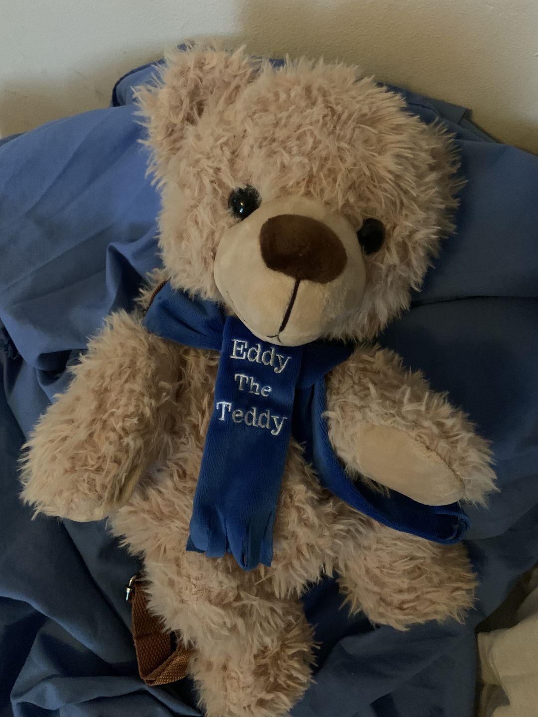 Customer photo review of Eddy The Teddy Backpack