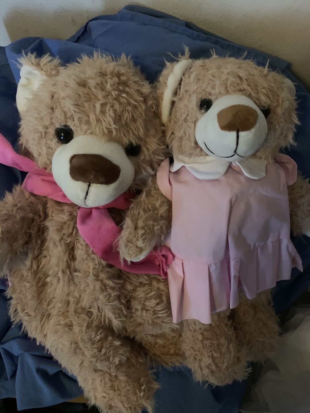 Customer photo review of Peggy The Girl Teddy Bear