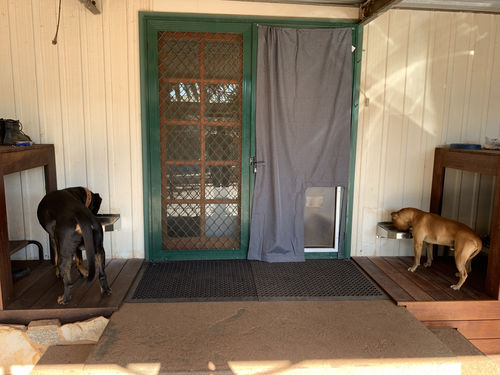 Customer photo review of Pet Feeding Station XL