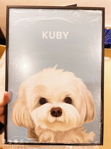 Customer photo review of 【客製】手繪寵物 北歐鋁框畫