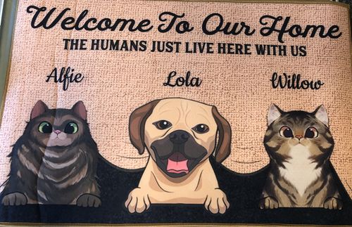 Customer photo review of Welcome To Our Home Custom Doormat