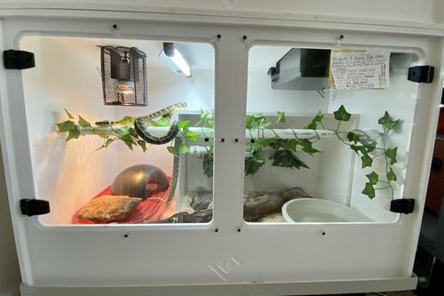 Customer photo review of XA3-BIO18 (36Lx24xH18D) - STACKABLE