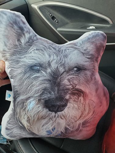 Customer photo review of Create A Custom Dog Pillow