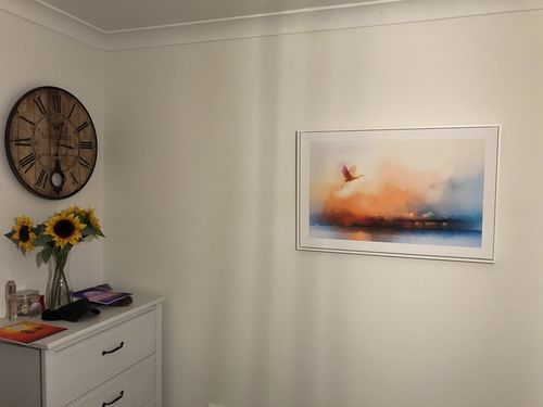 Customer photo review of Crane of the Clouds