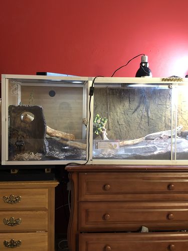 Customer photo review of Length Extension Kit for 4'x2'x2' Zen Habitats Enclosures