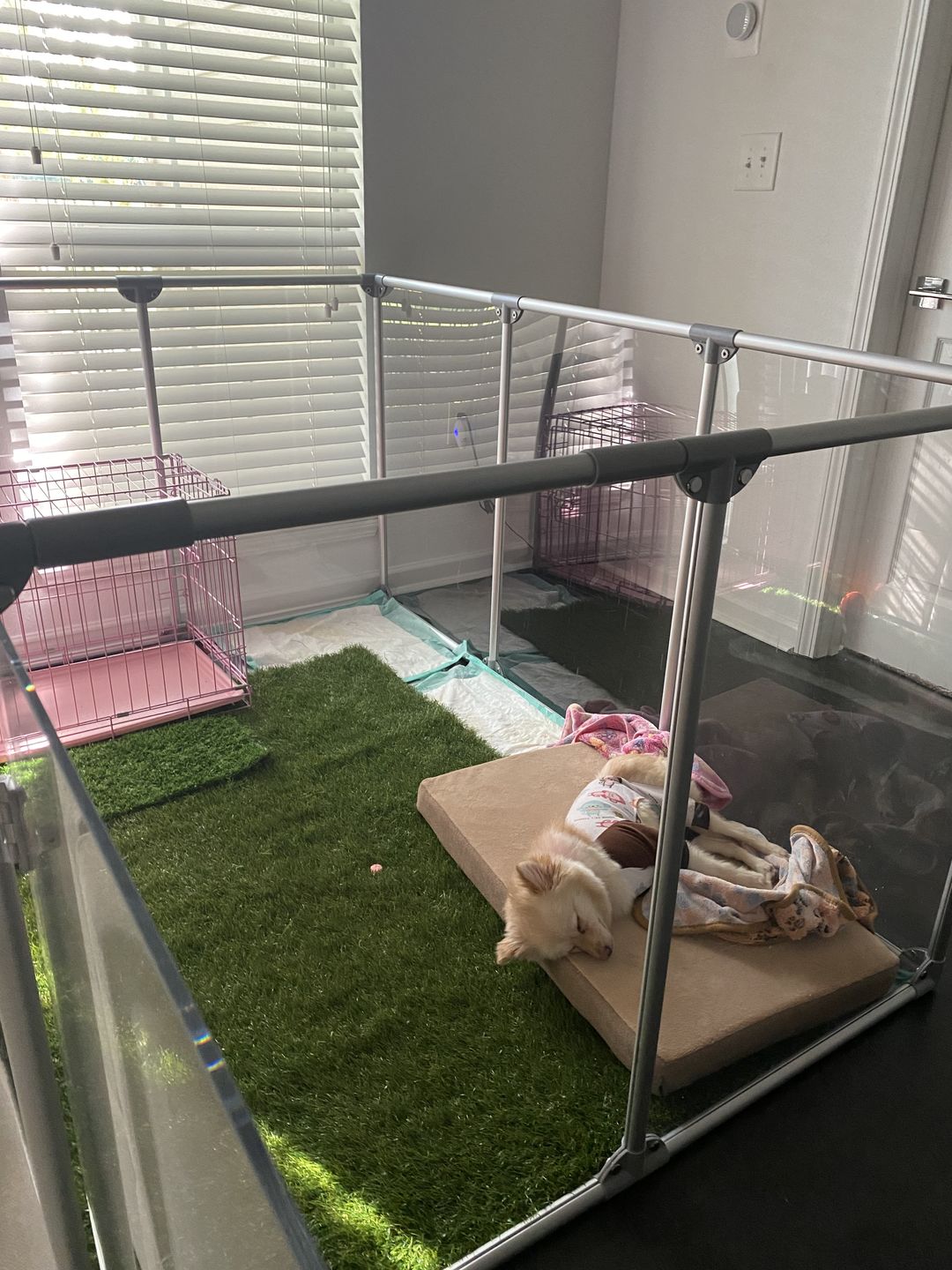 Customer photo review of 36" Wall Panels, 2 pack