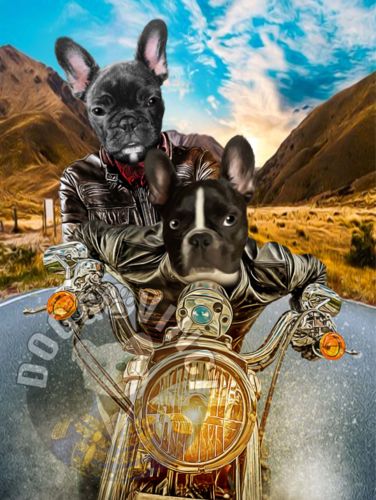 Customer photo review of 'Harley Wooferson' Personalized 2 Pet Poster