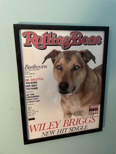 Customer photo review of 12.75 x 17" Frame Add-On