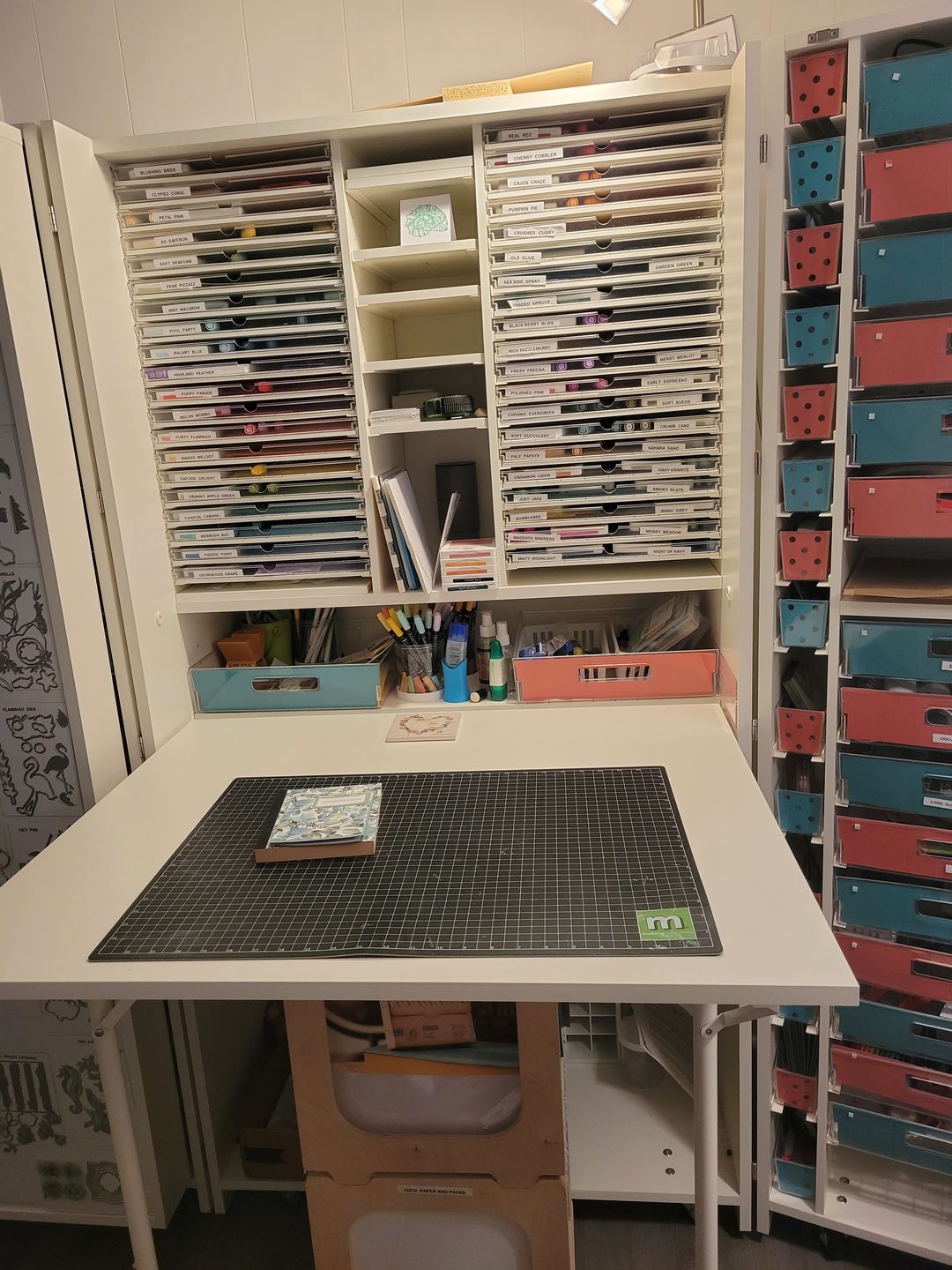 Customer photo review of 8 Shallow InView™ Totes