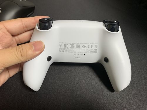 Customer photo review of スターターモデル - デュアルセンス PS5 コントローラー