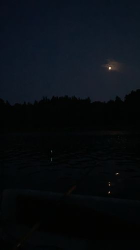 Customer photo review of 10g Smart Fishing Float