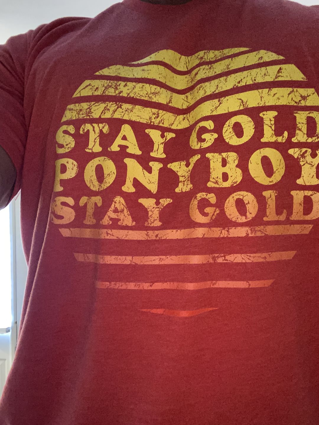 Customer photo review of Stay Gold Ponyboy Men's/Unisex Super Soft Tee